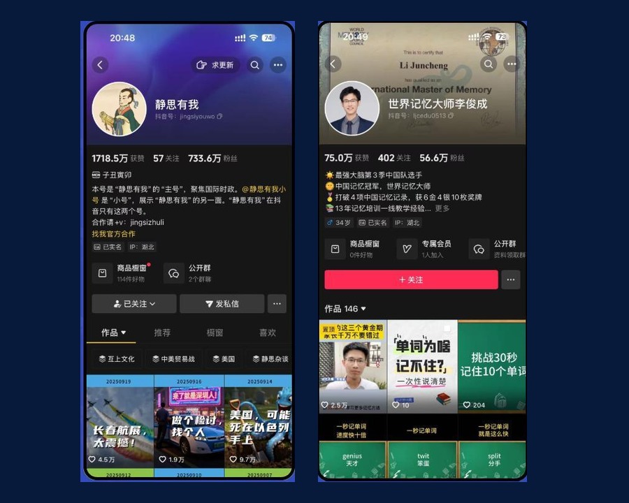 达人/IP 内容合作